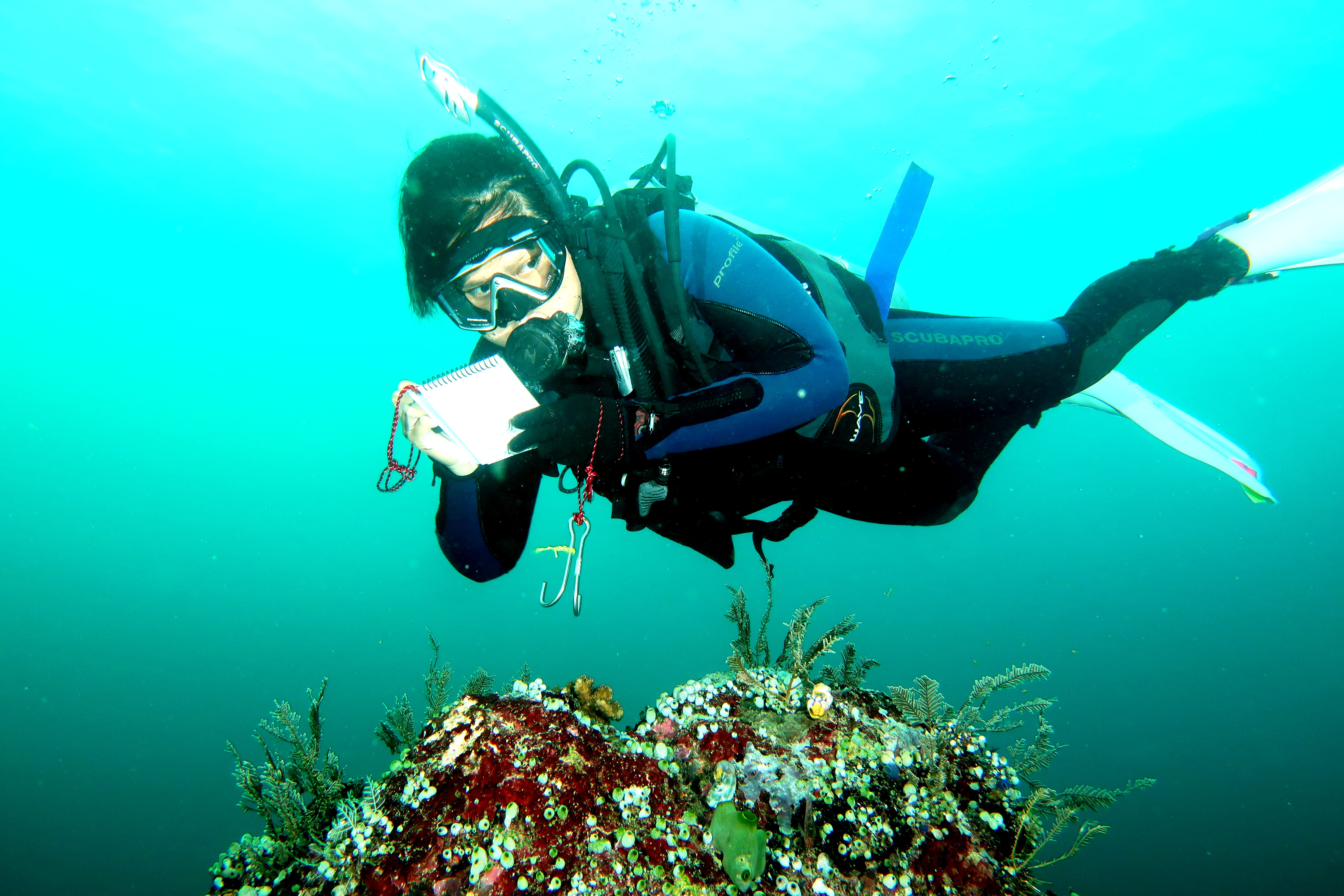 Ekspedisi Zooxanthellae XVII Kelompok mahasiswa dari Fisheries Diving Club IPB University (FDC-IPB)  melakukan penyelaman di Perairan Pulau Gorom, Koon dan Grogos Seram Bagian Timur Maluku